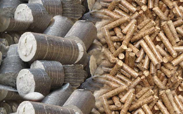 Bio Briquettes