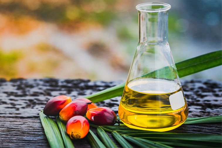 Palm Oil